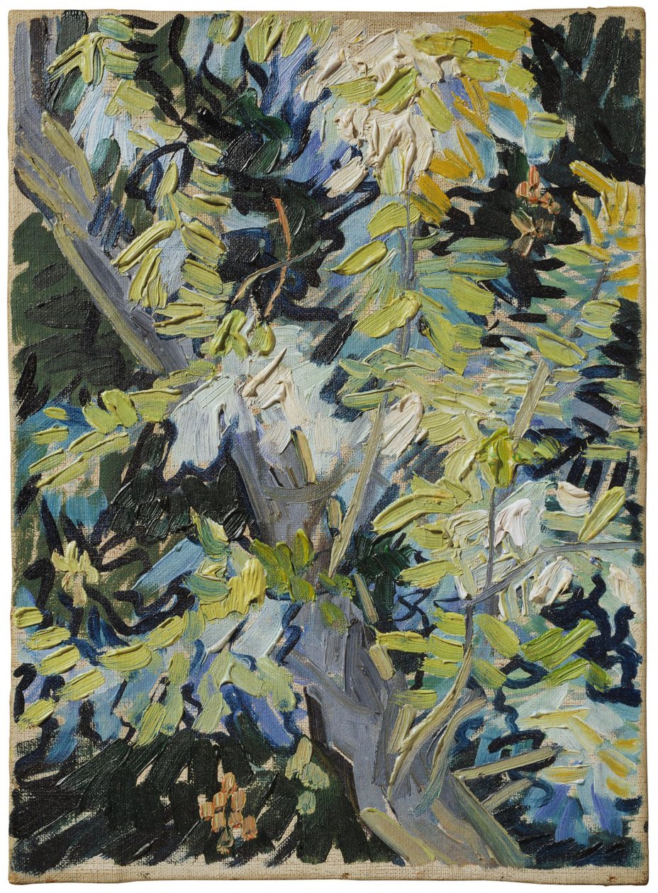 Blomstrende akasie av Vincent van Gogh