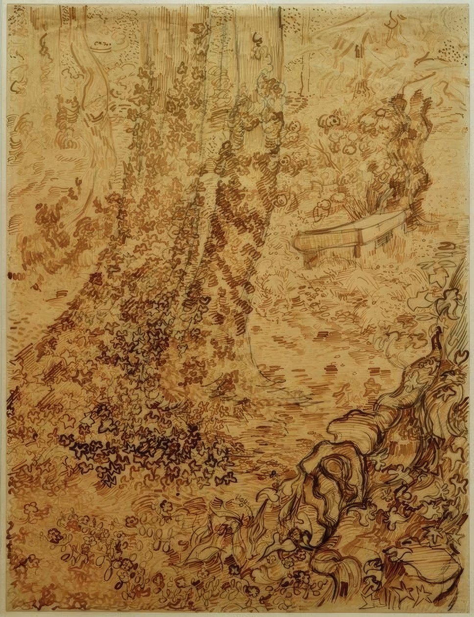 Trær med eføy i hagen til sanatoriet av Vincent van Gogh