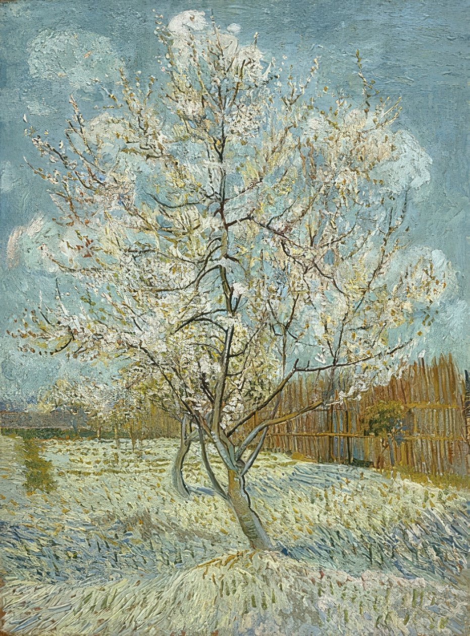 Blomstrende ferskentre (rosa). Arles, april-mai 1888 av Vincent van Gogh