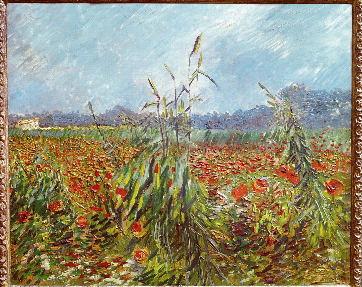 Kornåkre og valmuer (olje på lerret) av Vincent van Gogh