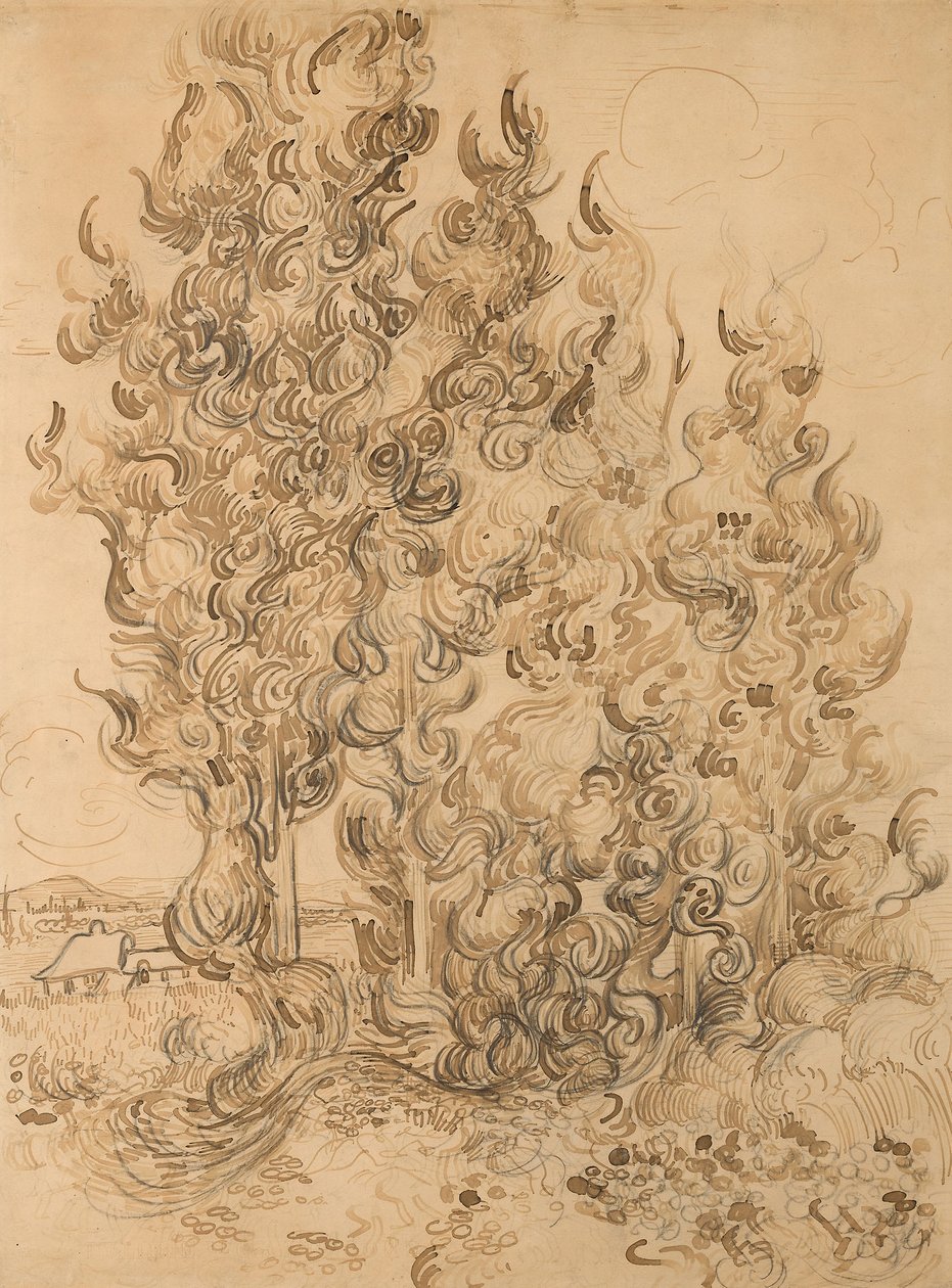 Sypresser av Vincent van Gogh