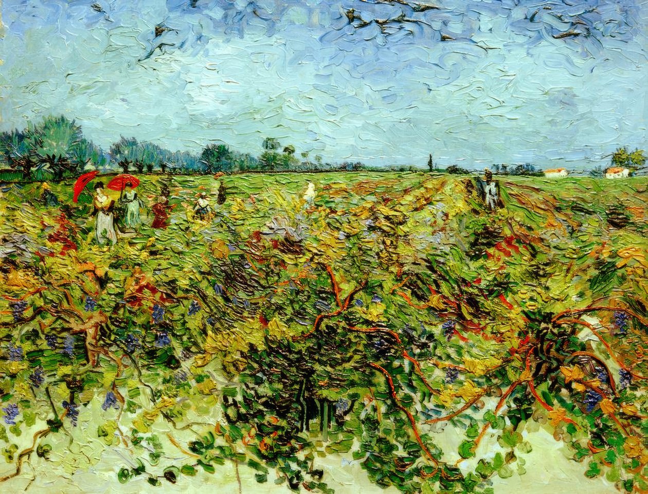 Den grønne vingården av Vincent van Gogh
