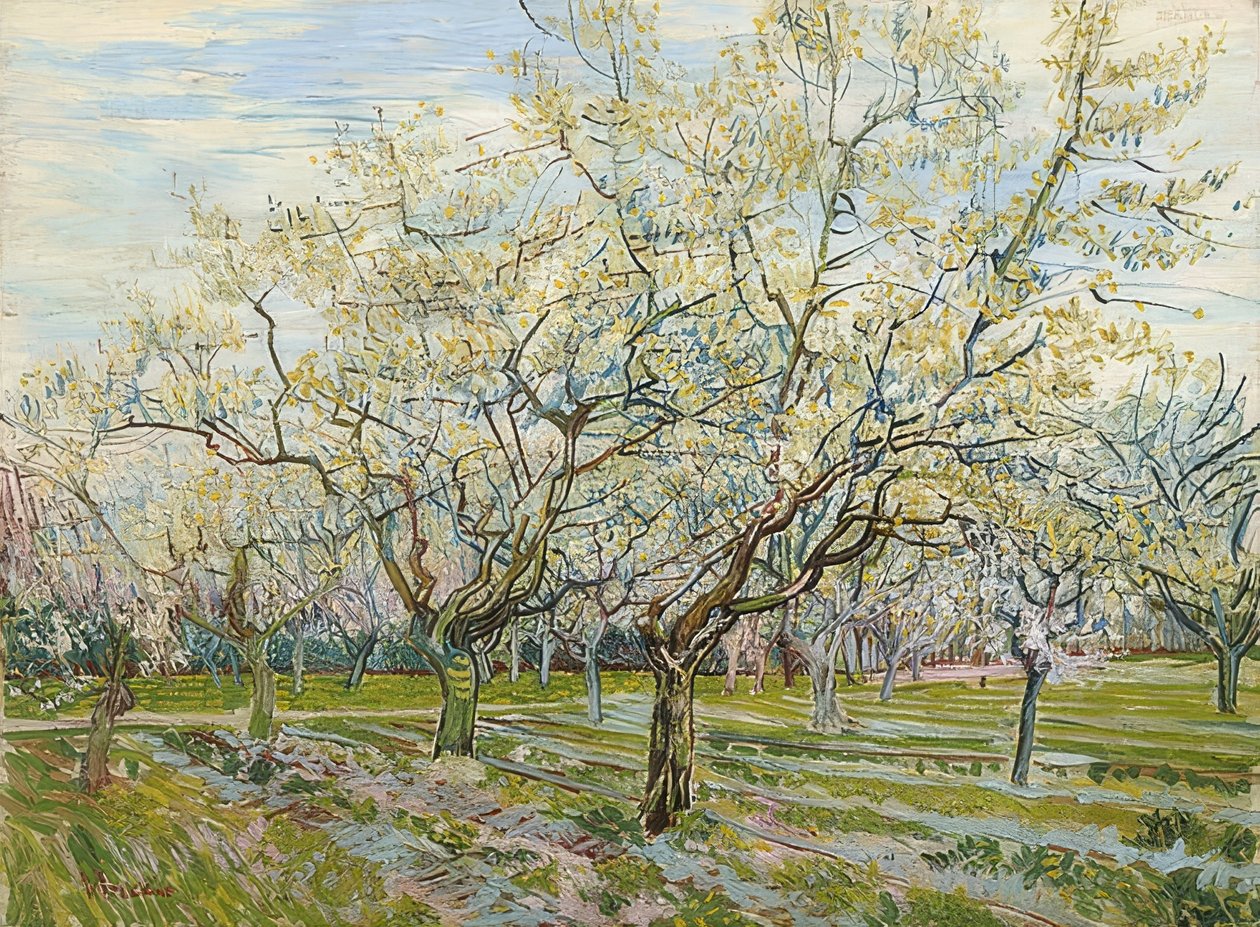 Den hvite frukthagen. 1888 av Vincent van Gogh