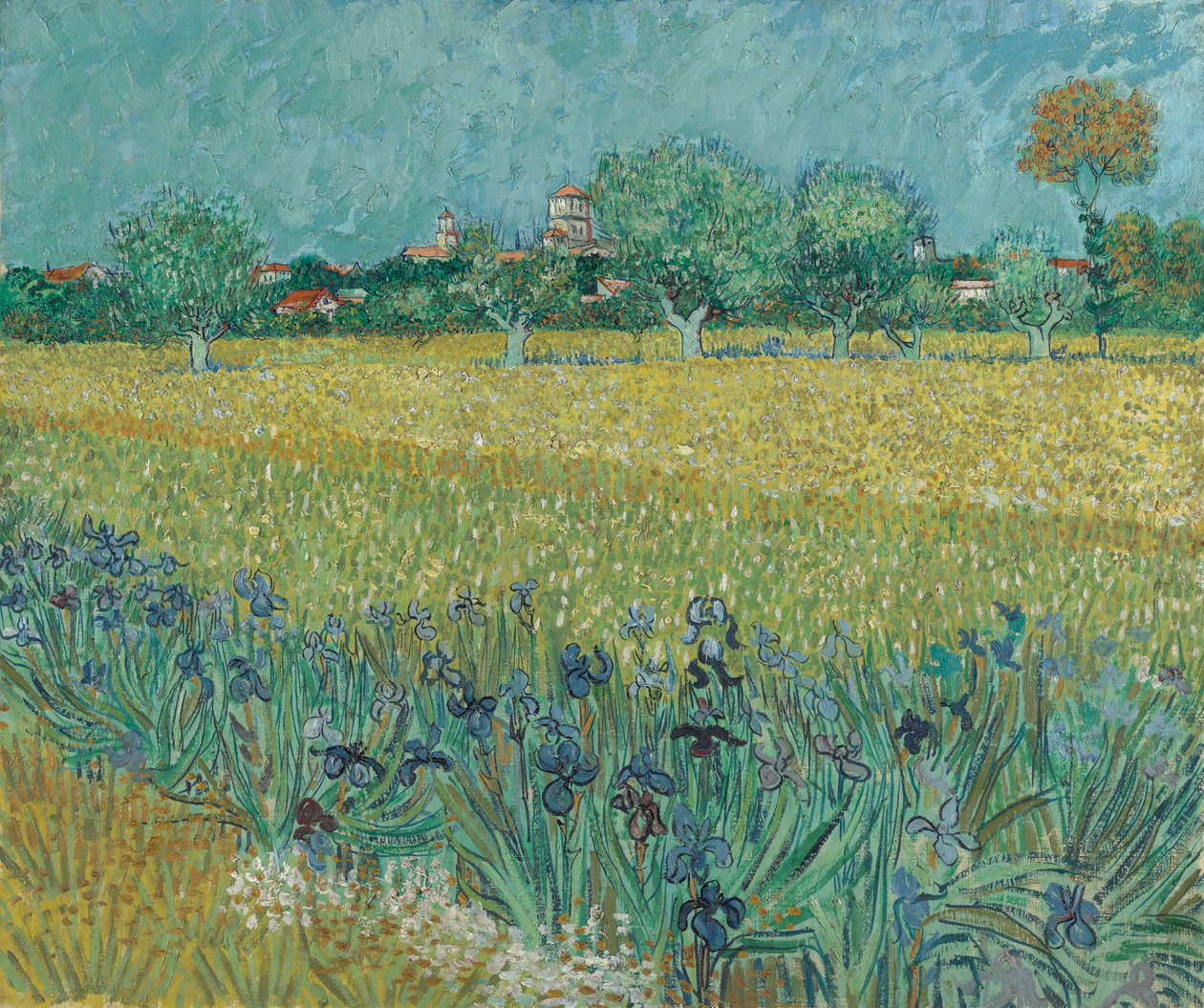 Felt med blomster nær Arles av Vincent van Gogh