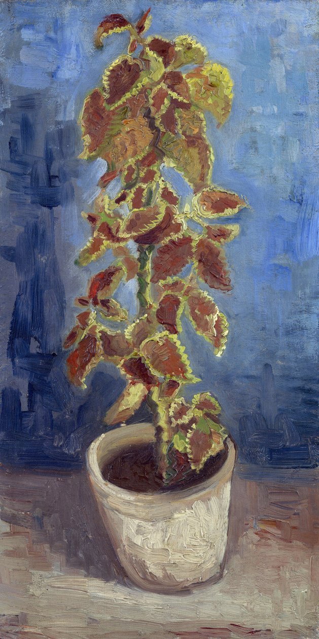 Flammenesle i en blomsterpotte av Gogh, Vincent, varebil (1853-1890). Olje på lerret, størrelse: 42,1x21,9 av Vincent van Gogh