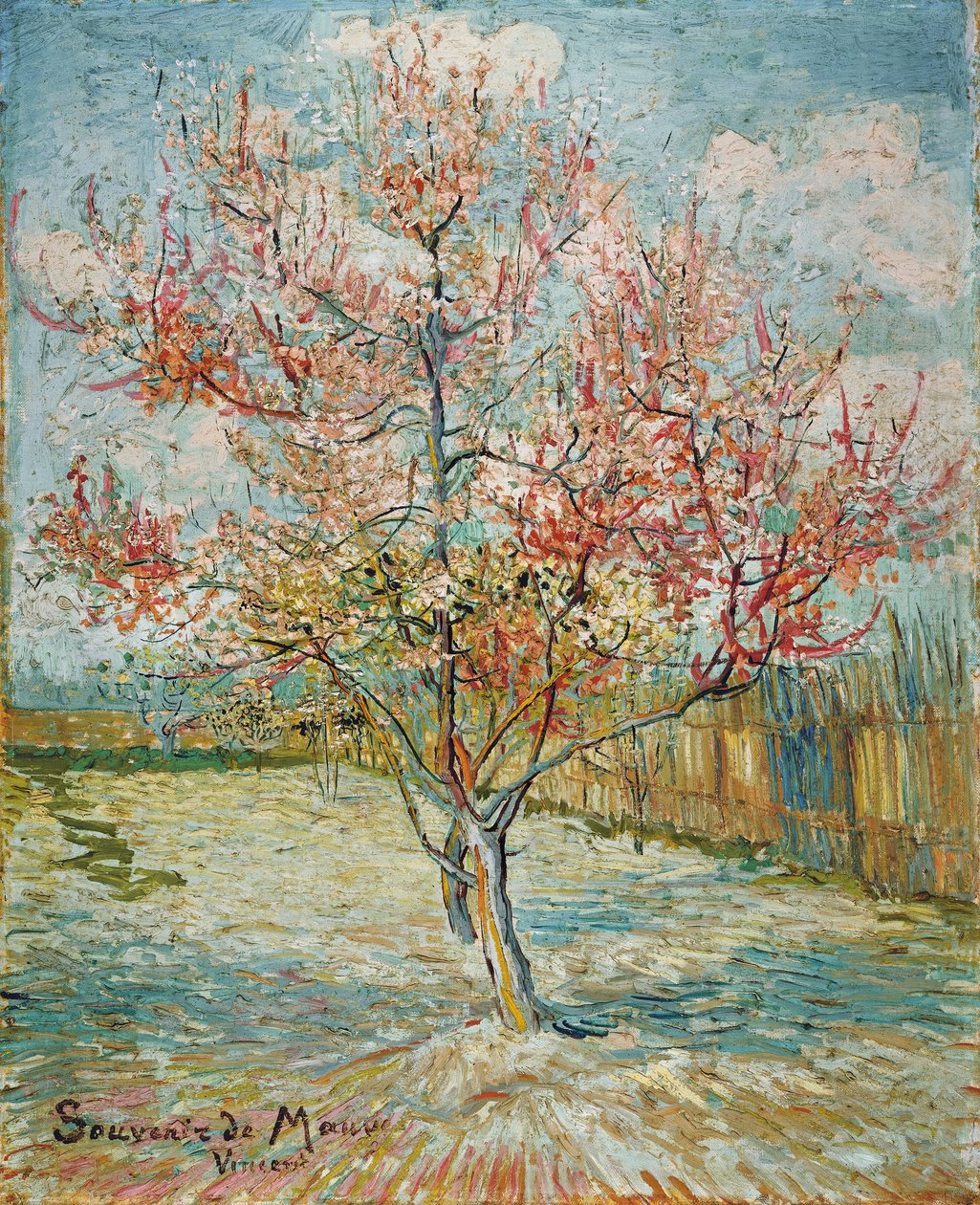 Blomstrende ferskentre av Vincent van Gogh