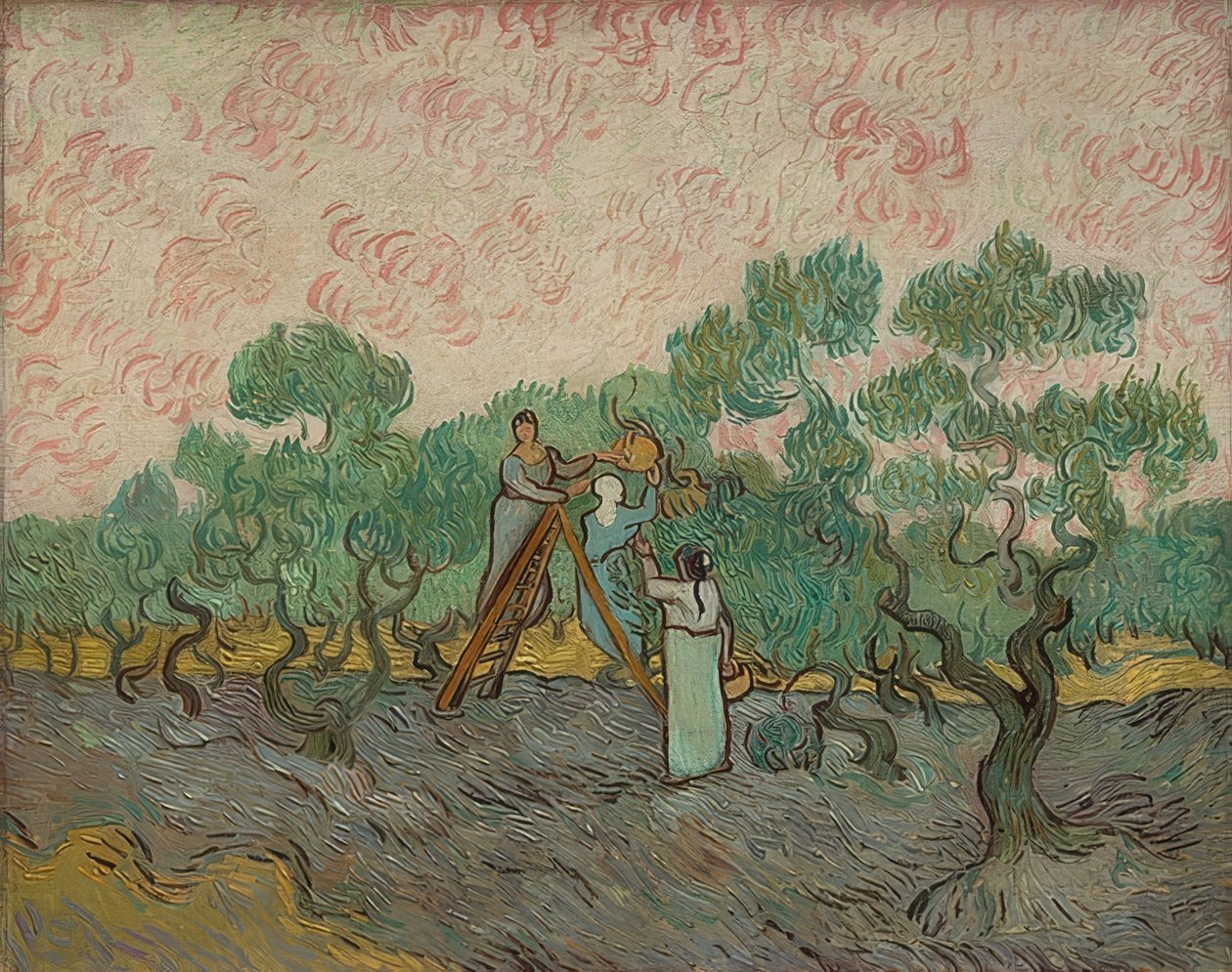 Kvinner som høster oliven. 1889 av Vincent van Gogh