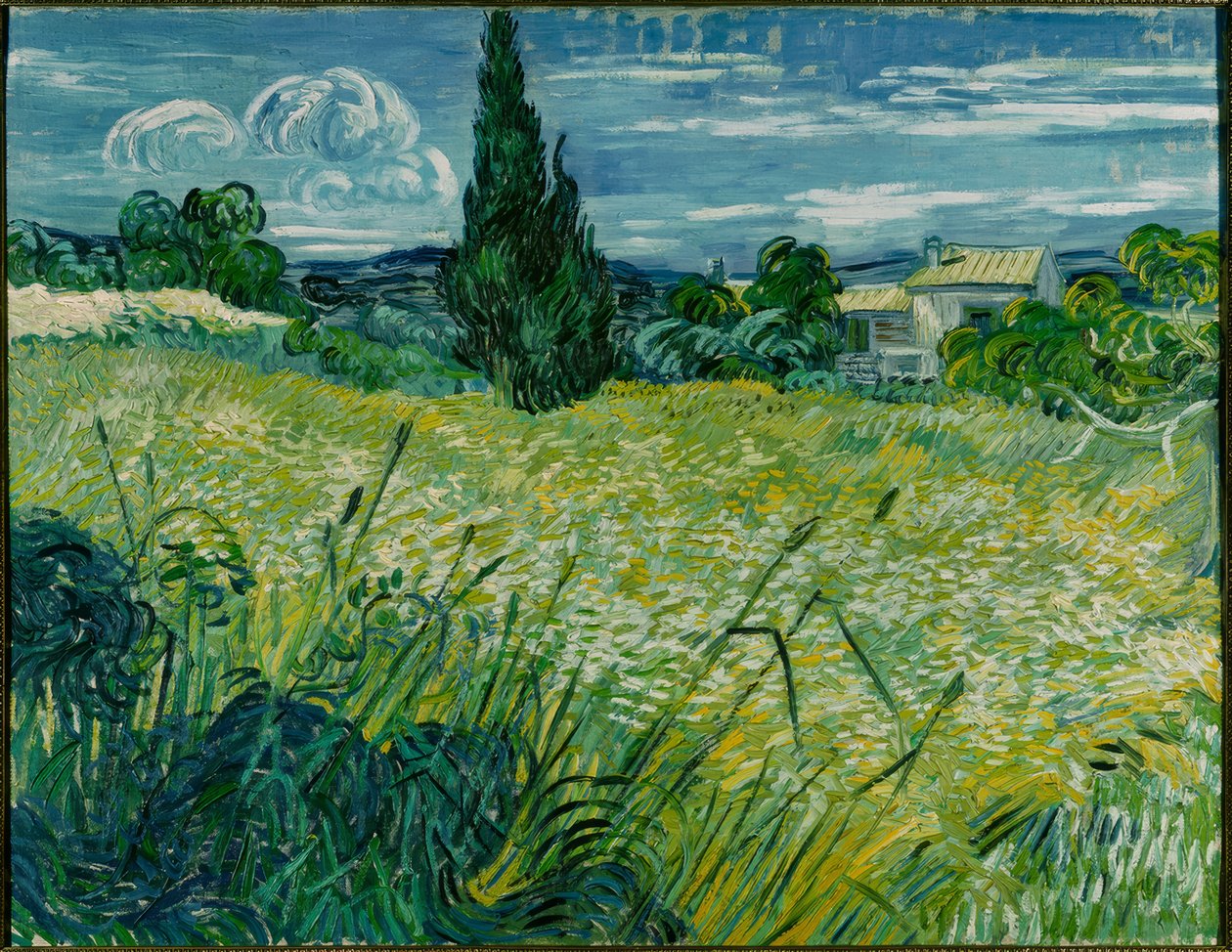 Grønn hveteåker med sypress av Vincent van Gogh