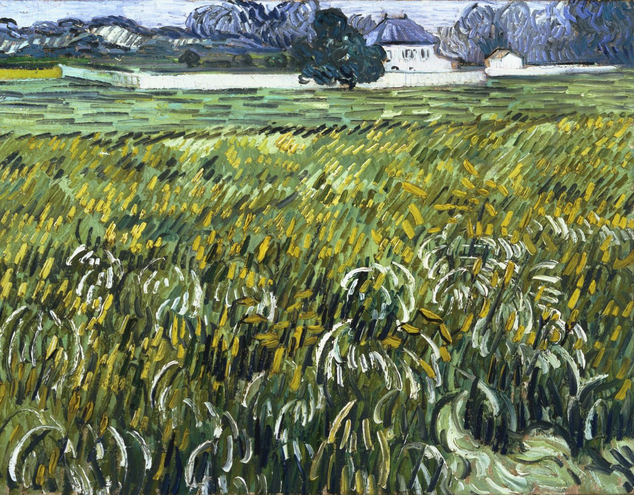 Hus i Auvers av Vincent van Gogh