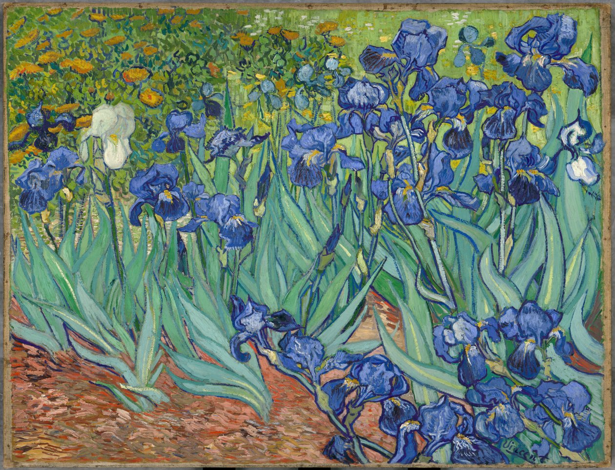 Iriser av Vincent van Gogh