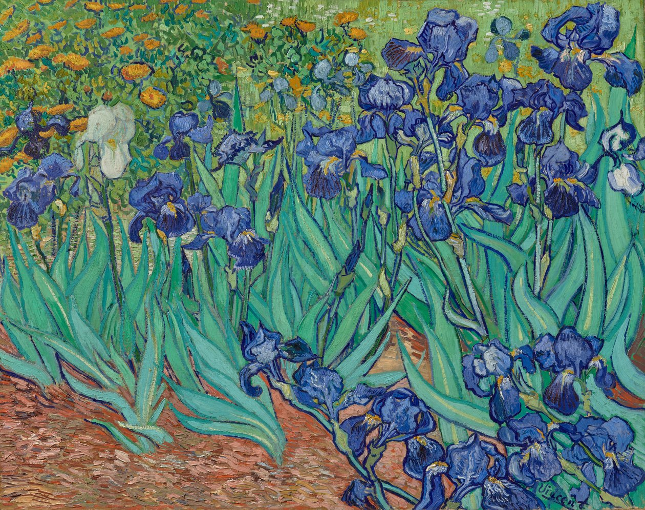 Iris av Vincent van Gogh