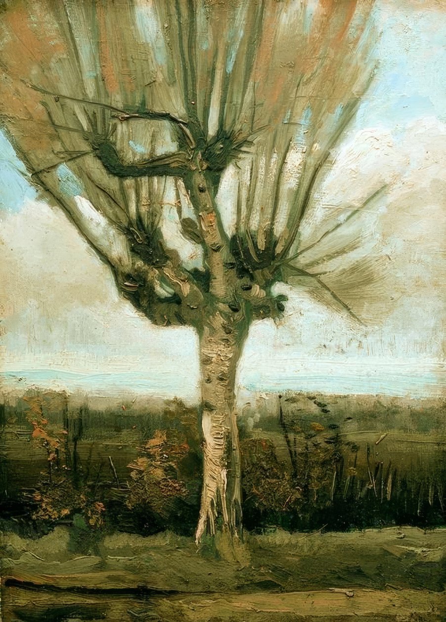 Pollard selje av Vincent van Gogh