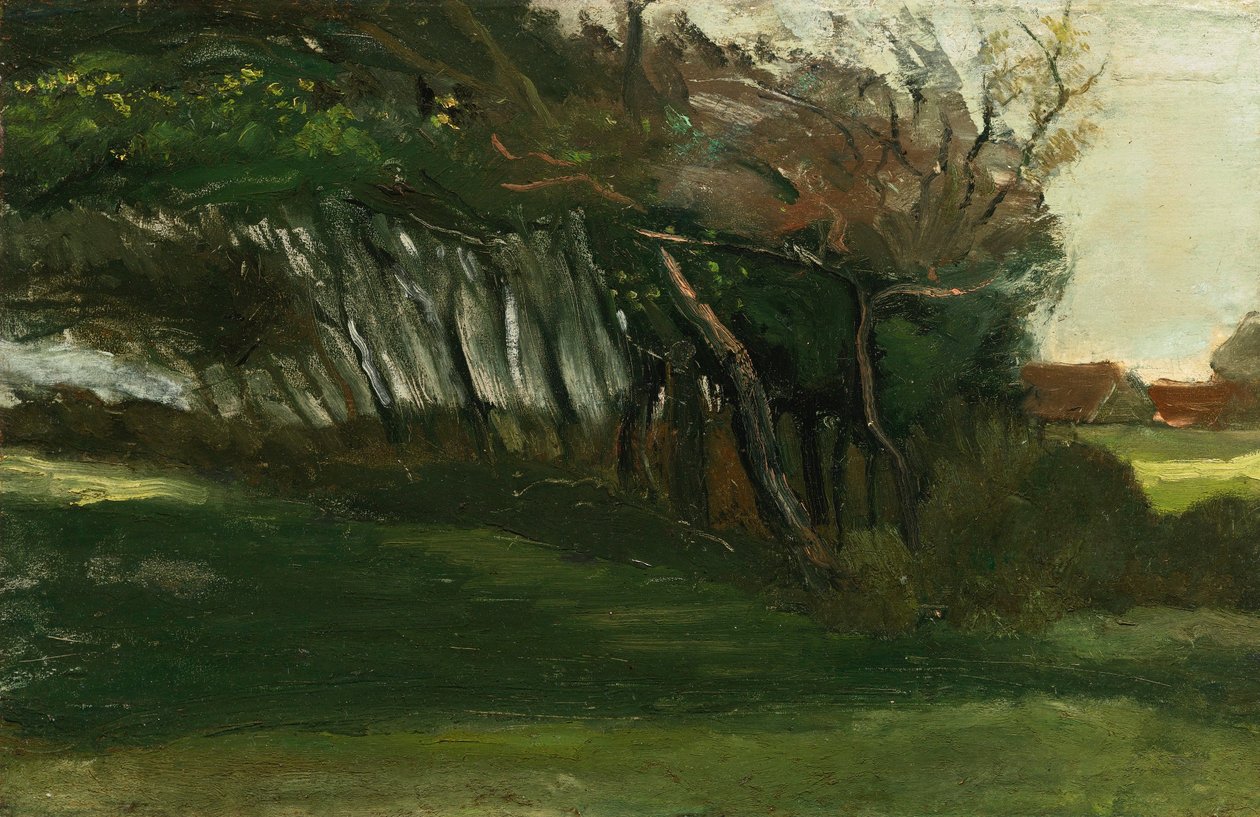 Landskap med forblåste trær, ca. 1883-84 (olje på lerret) av Vincent van Gogh