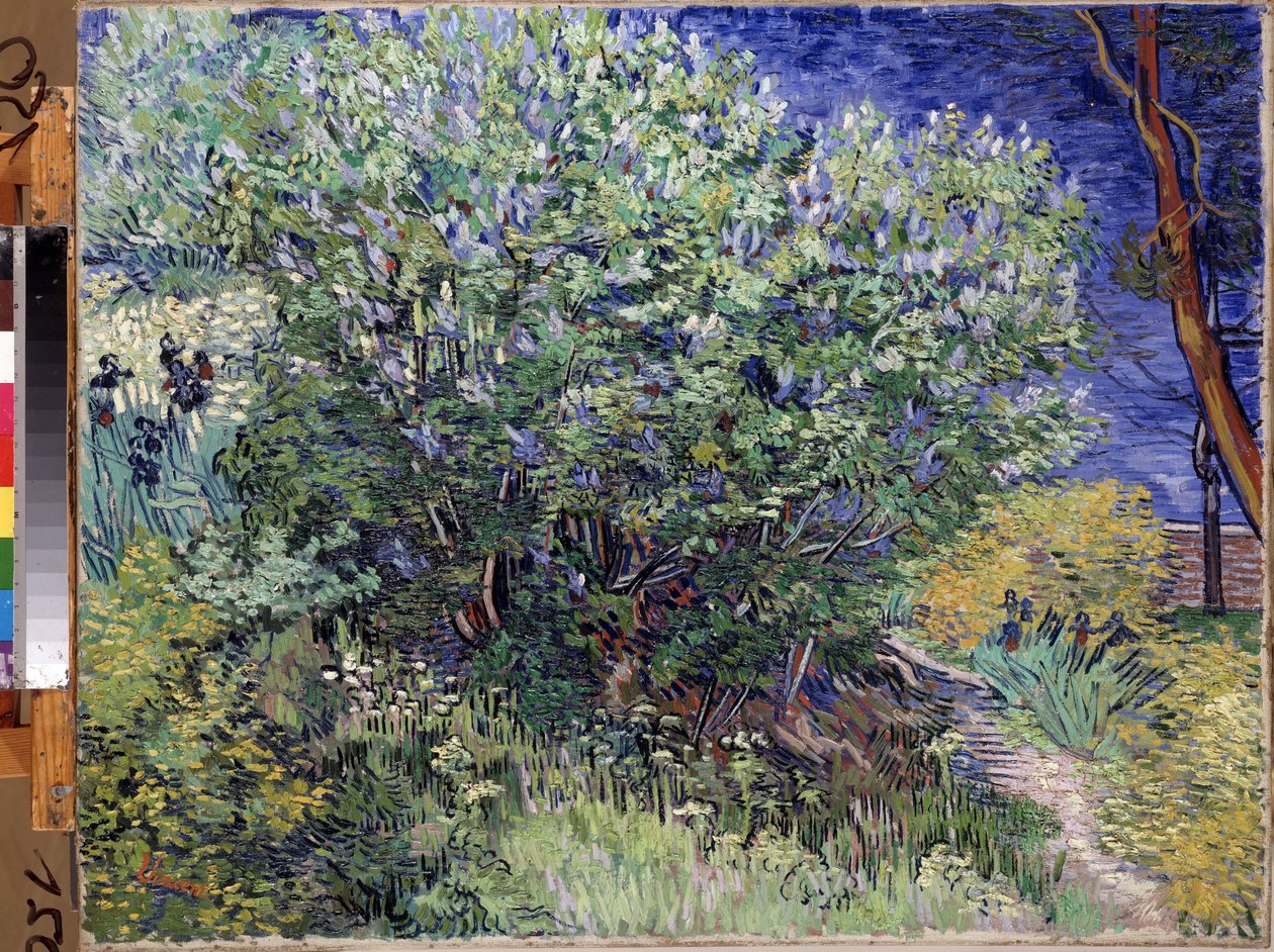 ""Syrinbusken"" (syrinbusken) Maleri av Vincent van Gogh (1853-1890) 1889 Mål 72x92 cm Eremitagemuseet, St. Petersburg (Sankt-Petersburg) av Vincent van Gogh