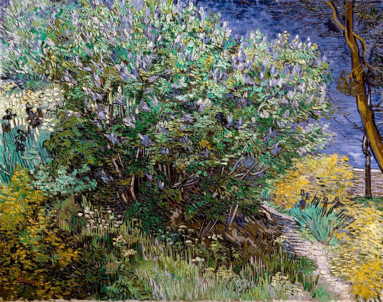 Syrinbusken. Vincent VAN GOGH (1853-1890) av Vincent van Gogh