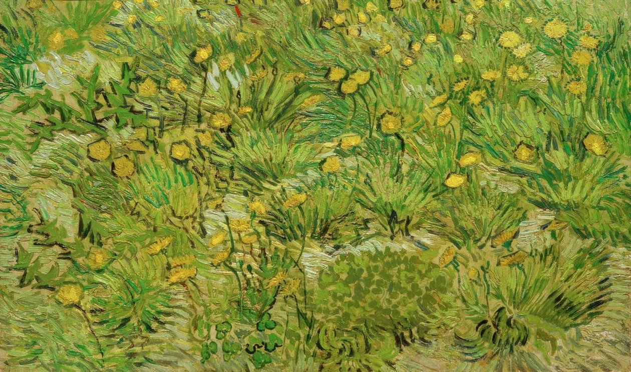 Løvetann av Vincent van Gogh