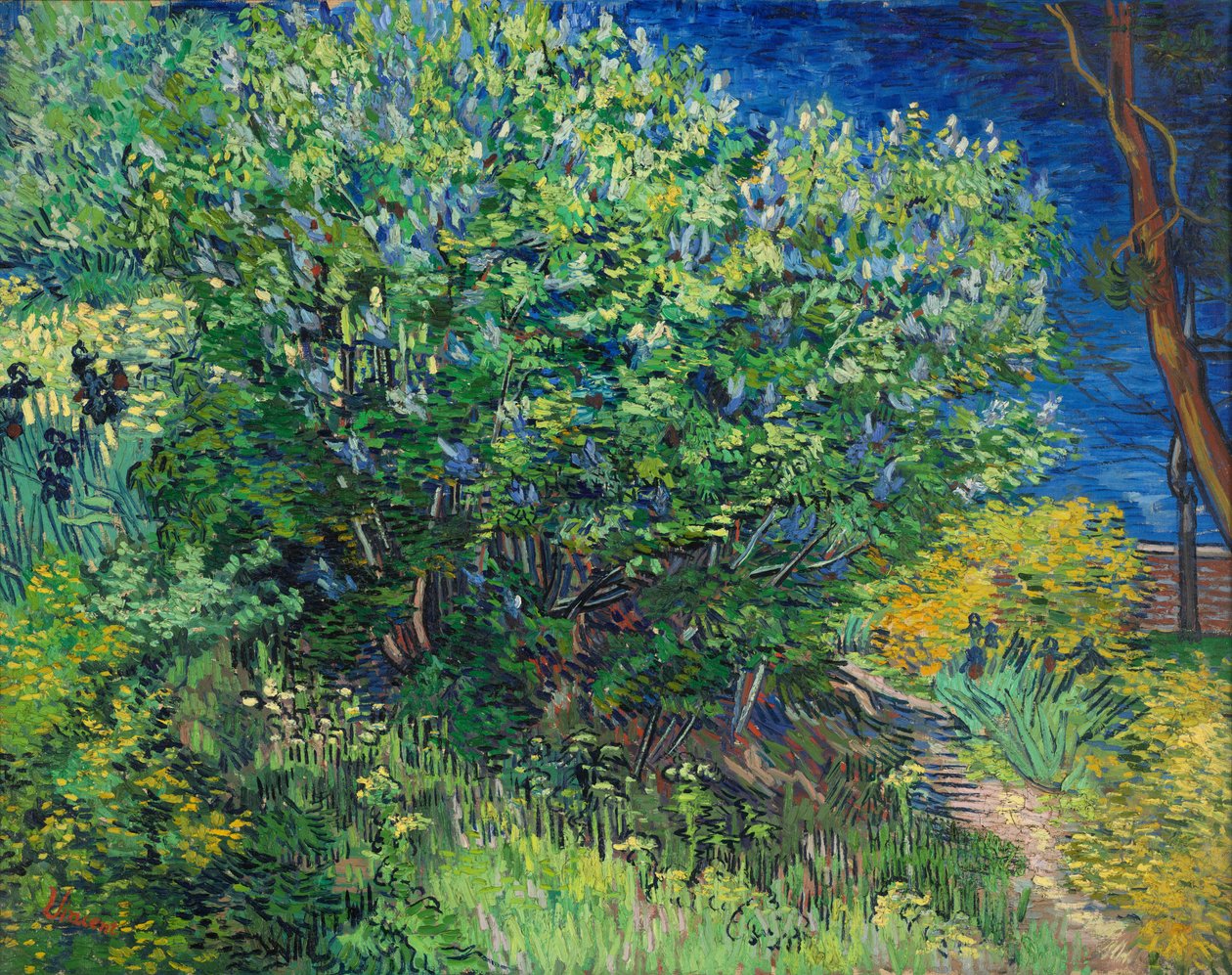 Syriner av Vincent van Gogh