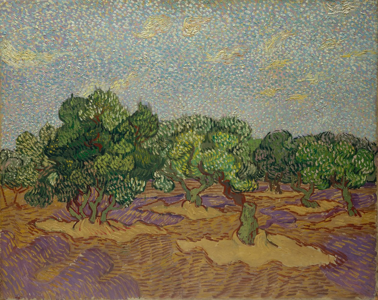 Oliventrær av Vincent van Gogh