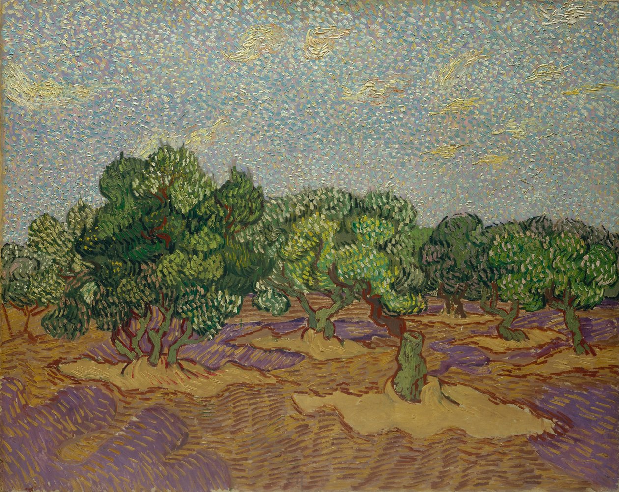 Oliventrær, 1889. av Vincent van Gogh