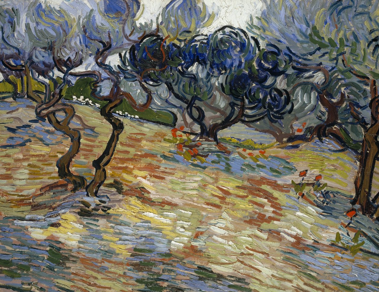 Oliventrær: Klart blå himmel av Vincent van Gogh