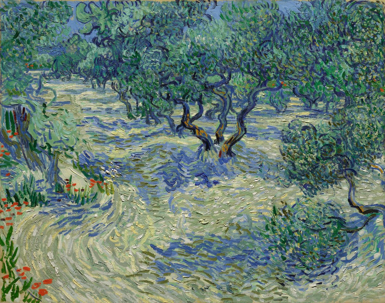 Oliventrær / Olivenlund av Vincent van Gogh