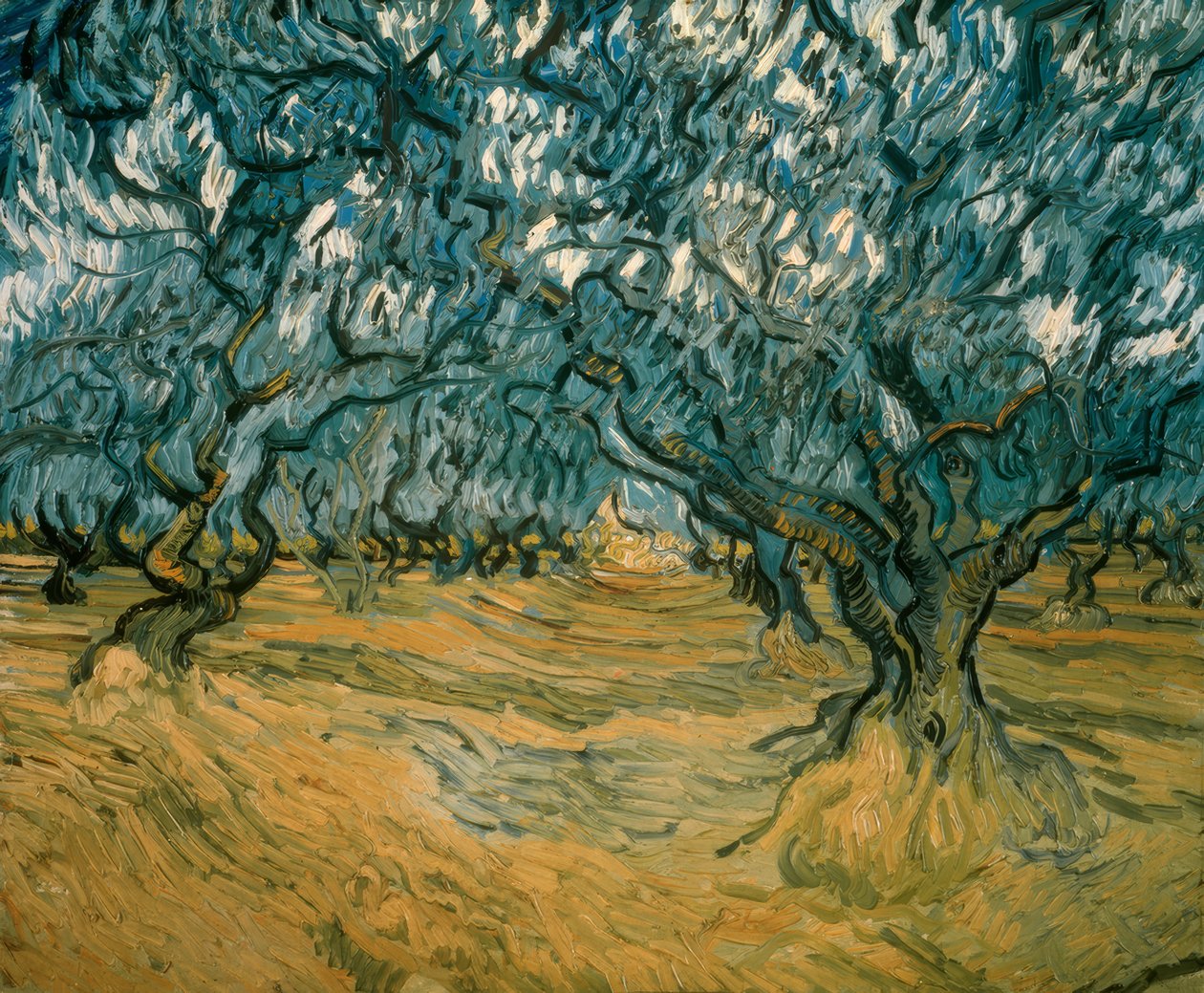 Oliventrær av Vincent van Gogh