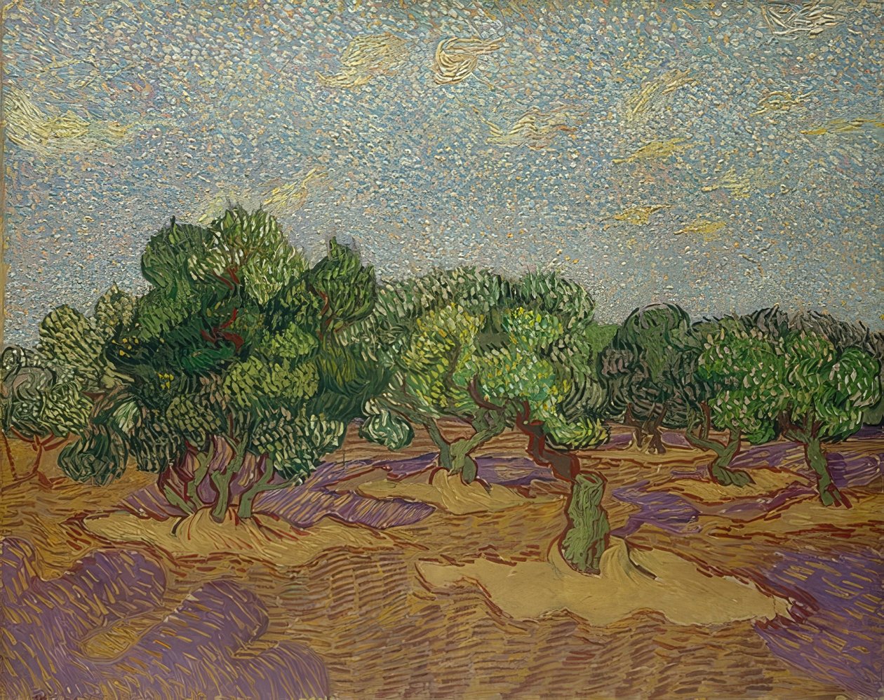 Oliventrær. 1889 av Vincent van Gogh