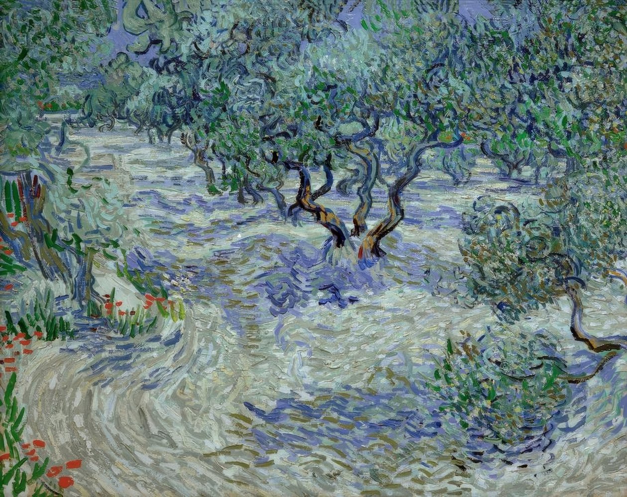Olivenlund av Vincent van Gogh
