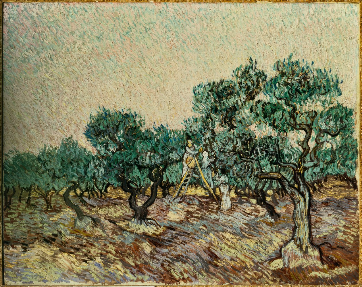 Olivenplukkere av Vincent van Gogh