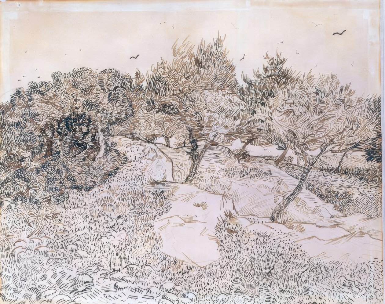 Oliventrær i Montmajour av Vincent van Gogh
