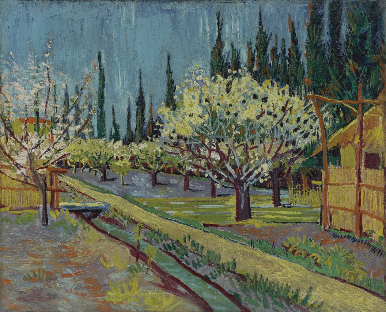 Frukthage omkranset av sypresser av Vincent van Gogh