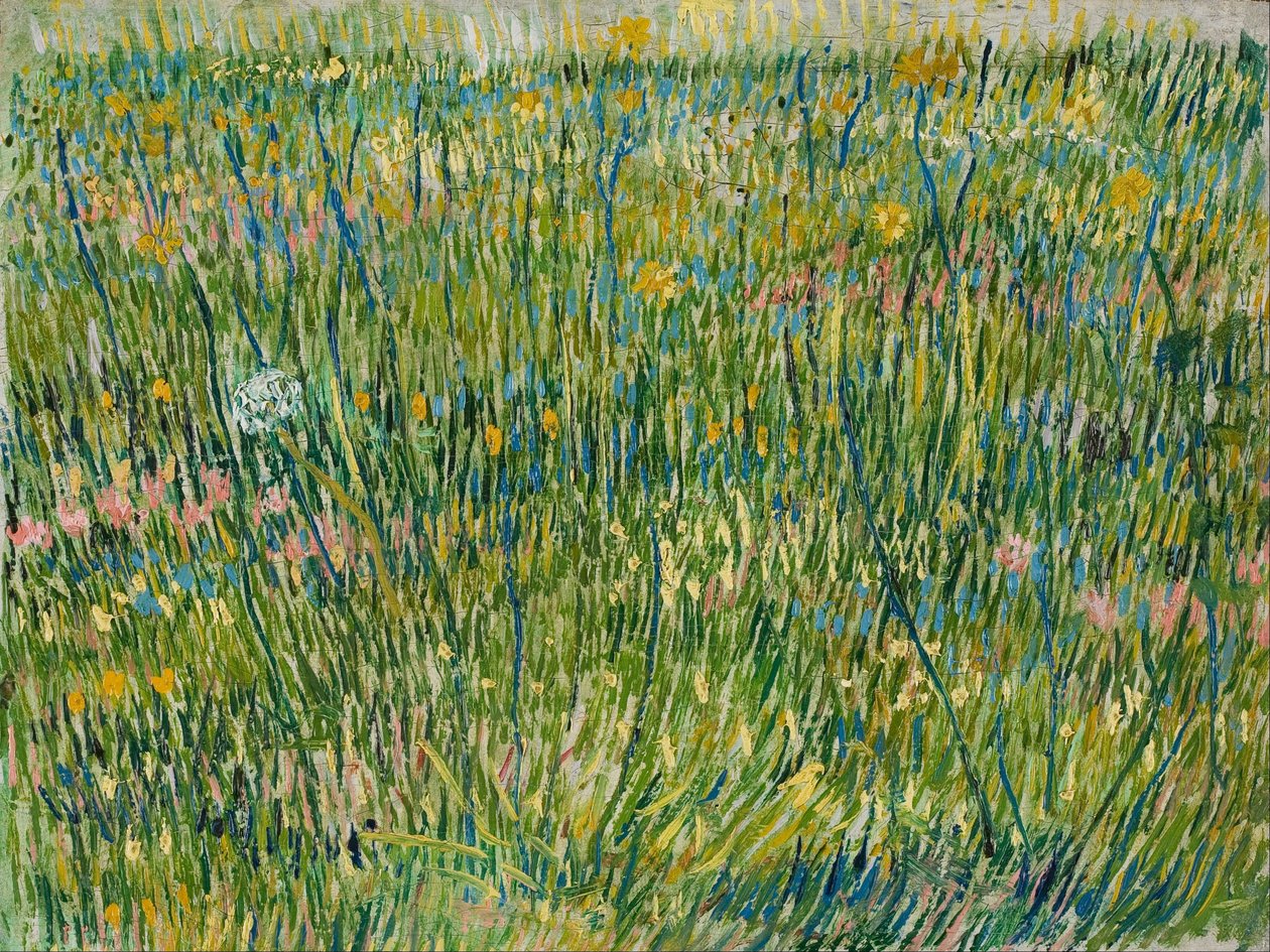Gressflekk av Vincent van Gogh