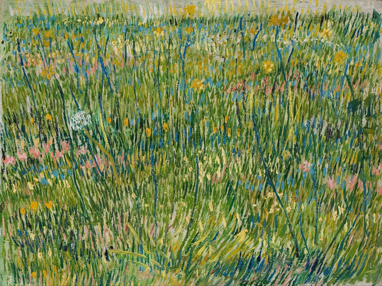 Flekk med gress av Vincent van Gogh