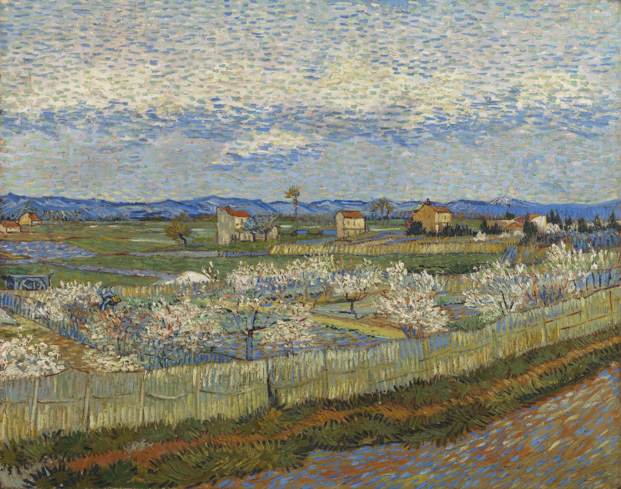 Ferskentrær i blomst, 1889 av Vincent van Gogh
