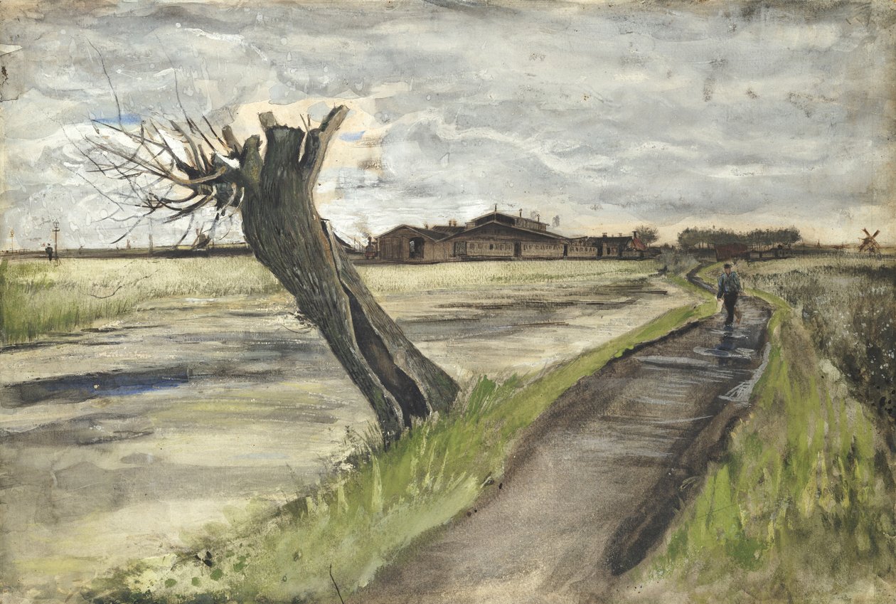 Pollard Willow, 1882 av Vincent van Gogh