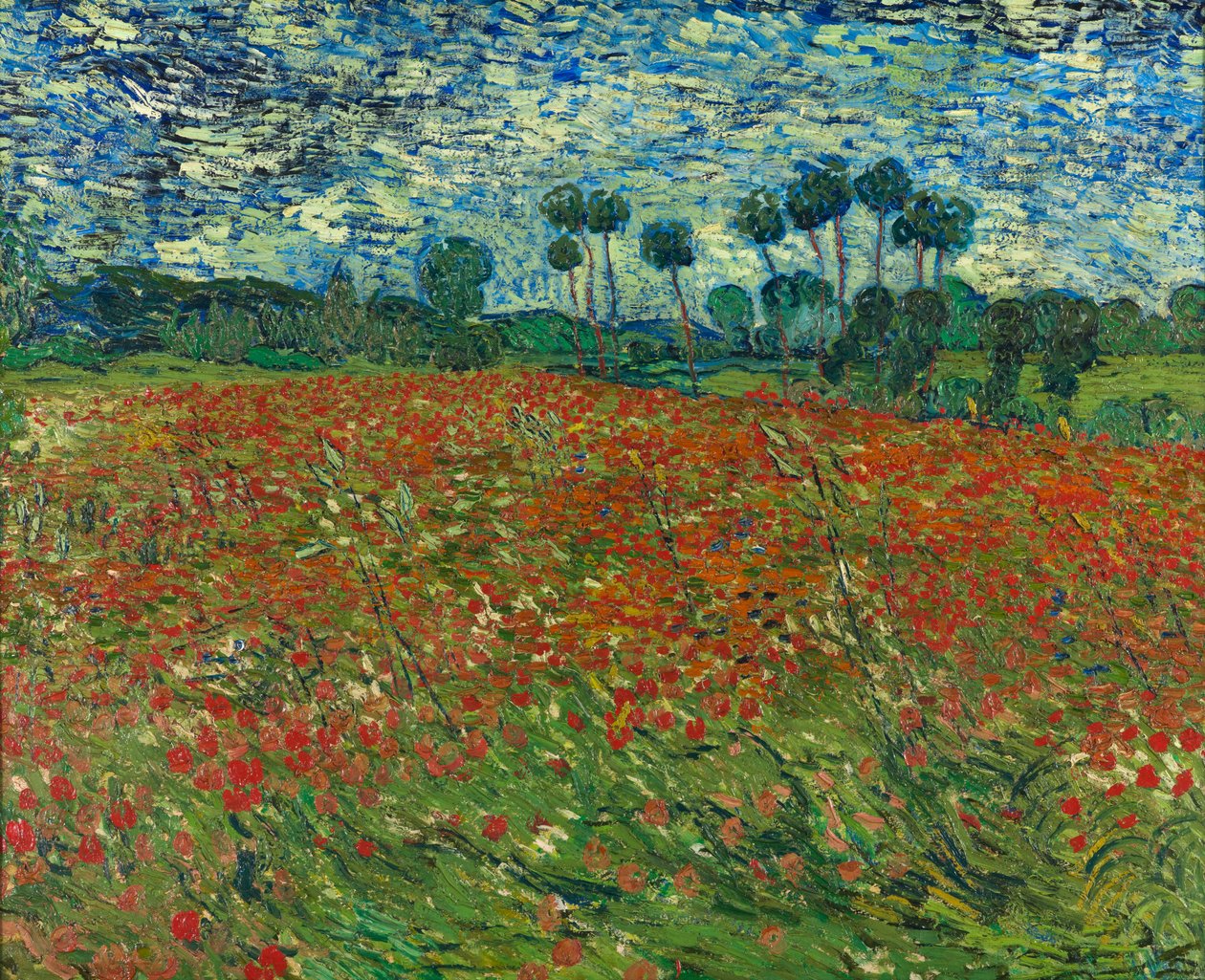 Valmuefelt av Vincent van Gogh