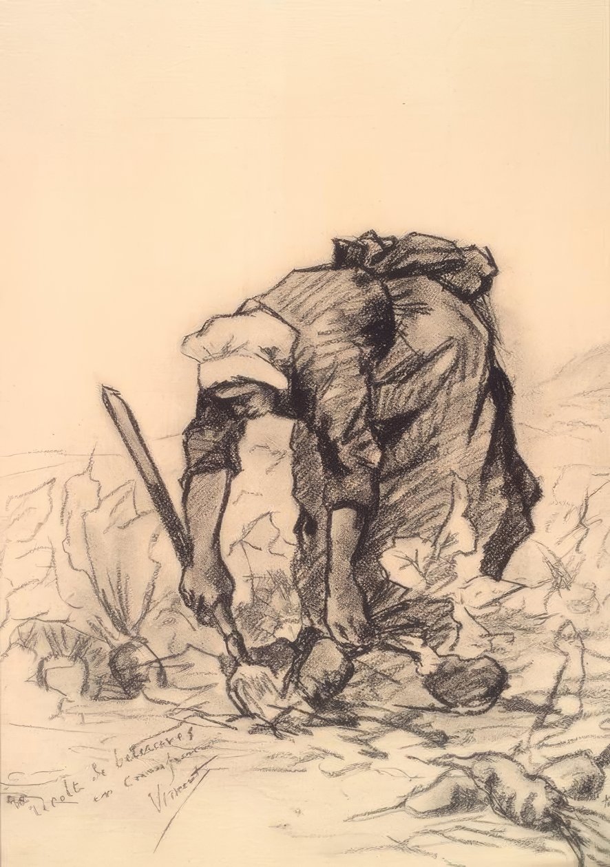 Rødbeteskjærer av Vincent van Gogh