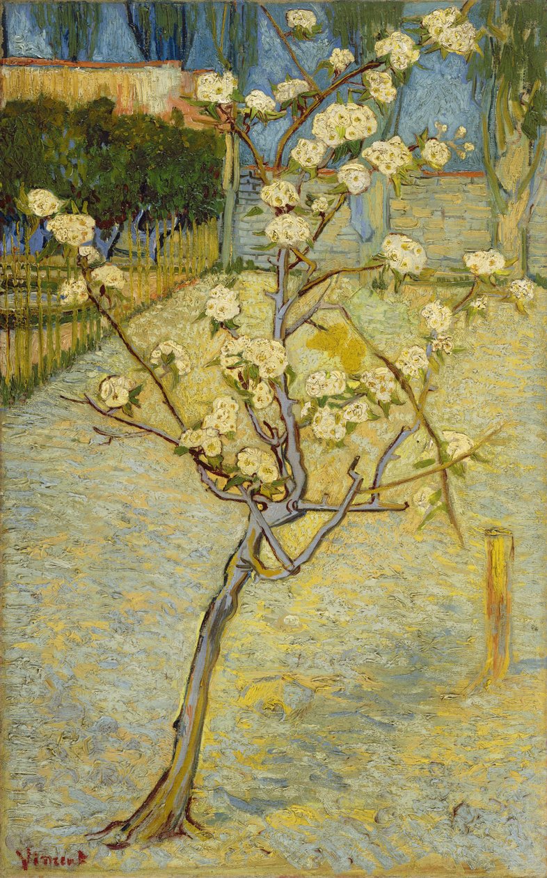 Lite pæretre i blomst av Vincent van Gogh