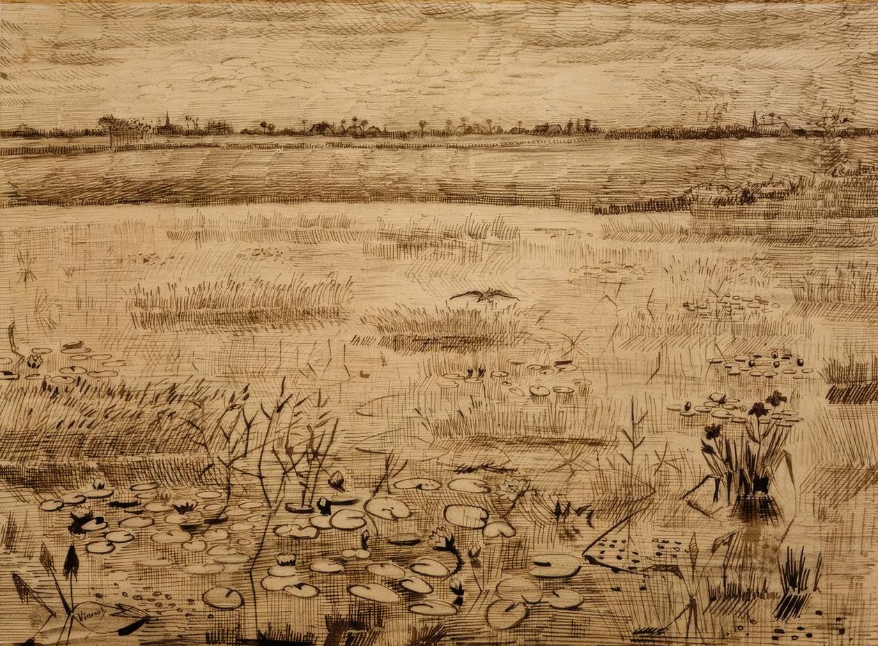Sumplandskap med vannliljer av Vincent van Gogh