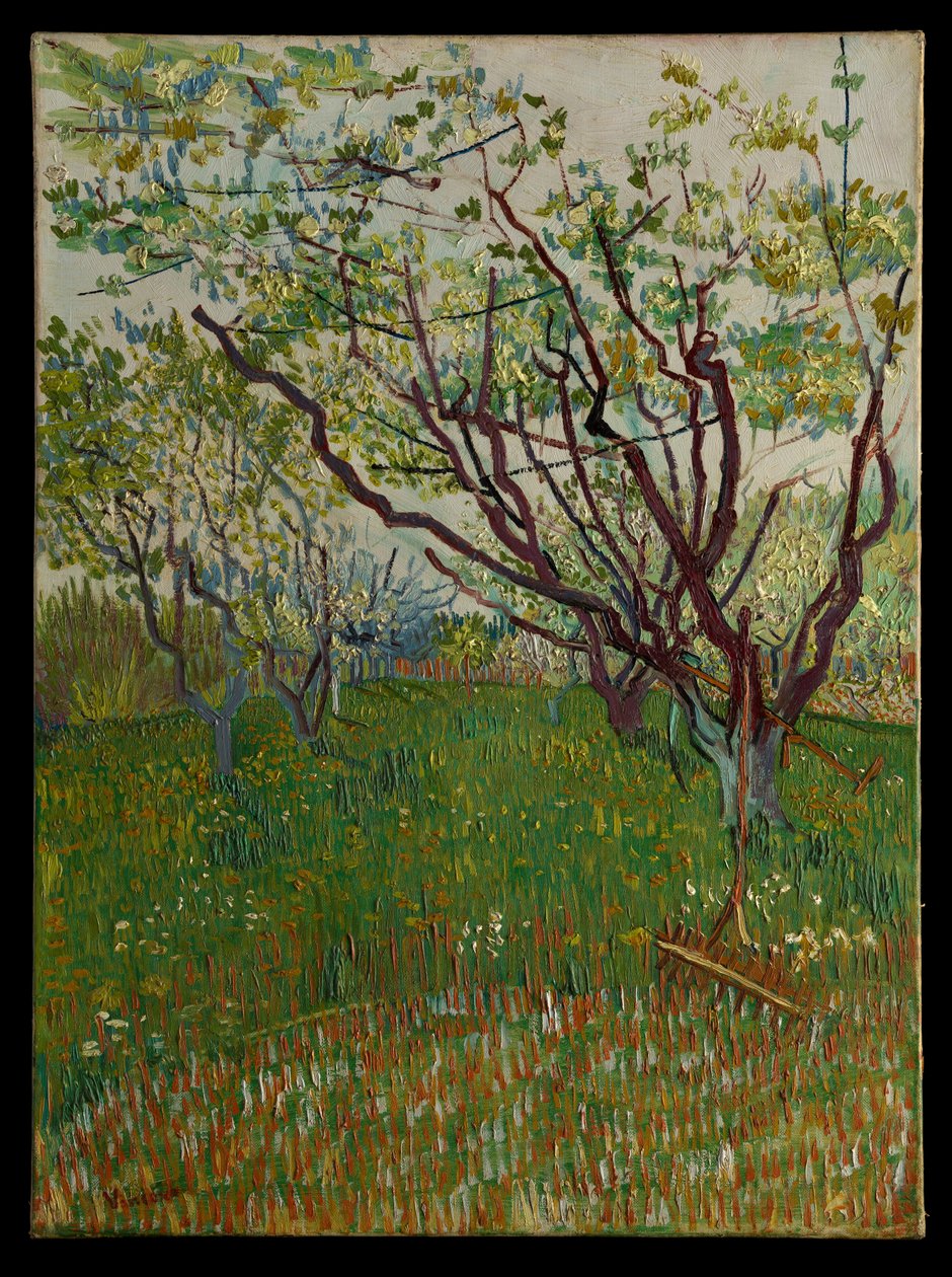 Den blomstrende frukthagen av Vincent van Gogh