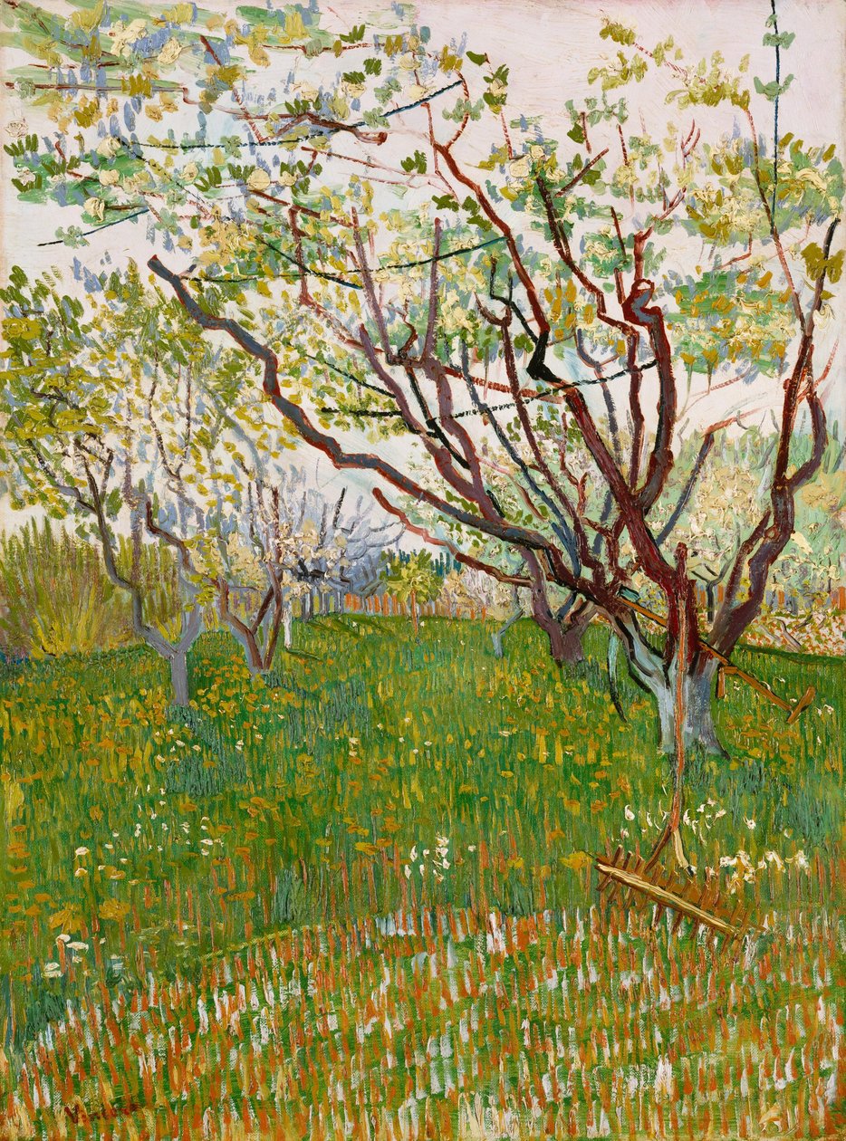 Den blomstrende frukthagen av Vincent van Gogh