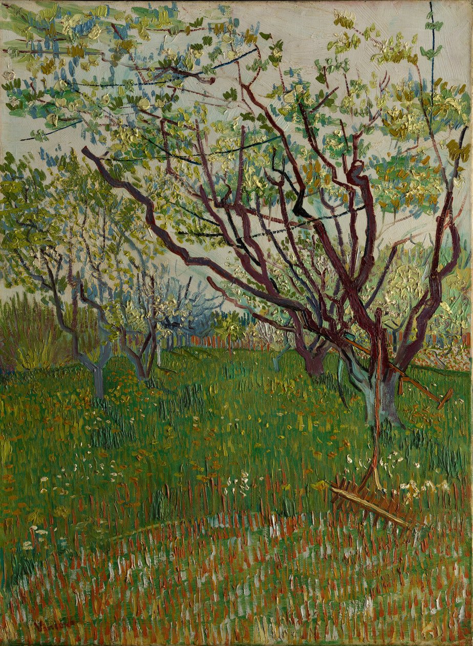 Den blomstrende frukthage, 1888. av Vincent van Gogh