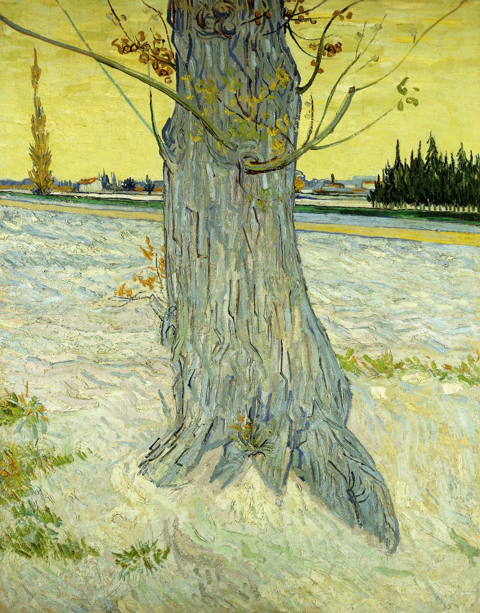 Det gamle treet; Le Vieil If av Vincent van Gogh