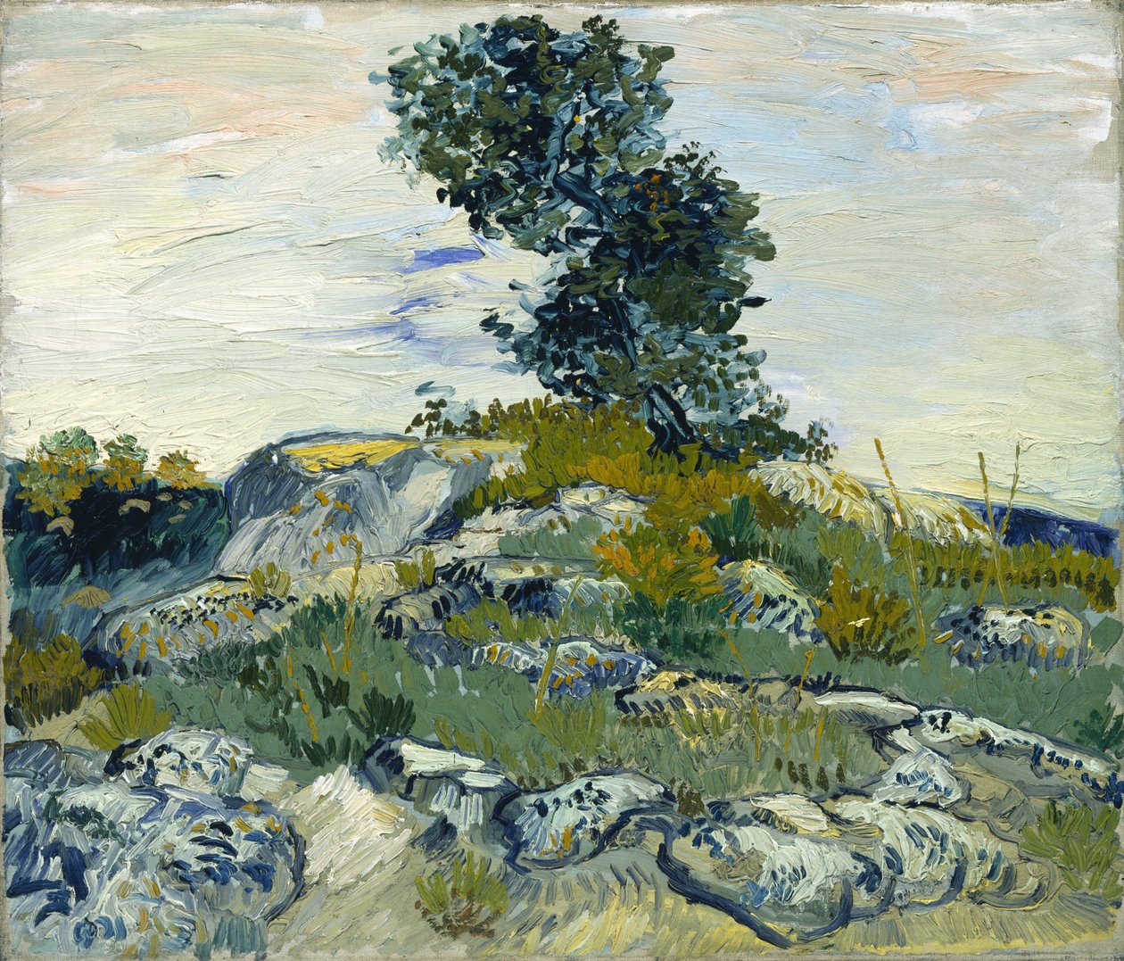 Klippeformasjonene / Klipper med eiketre av Vincent van Gogh