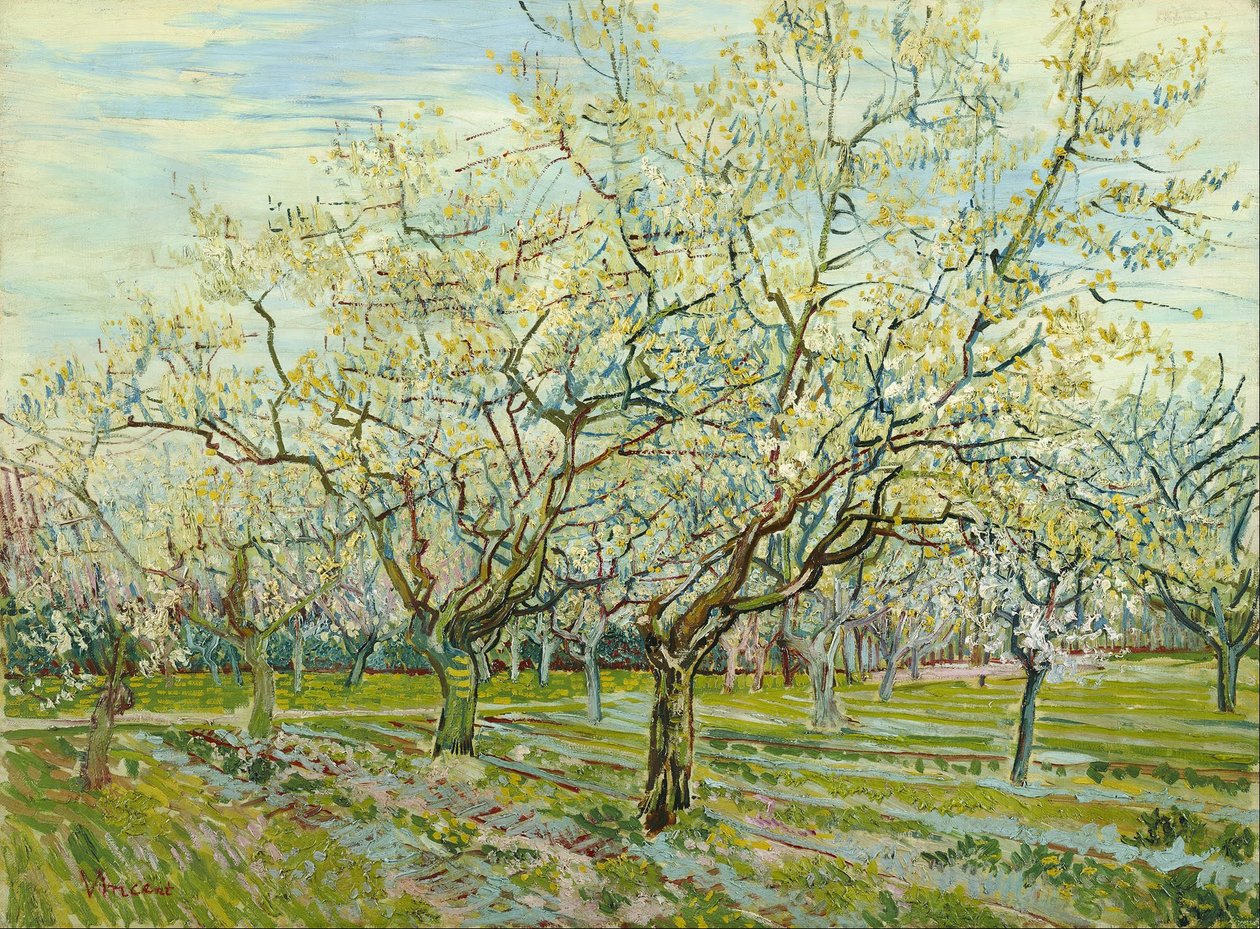 Den hvite frukthagen av Vincent van Gogh
