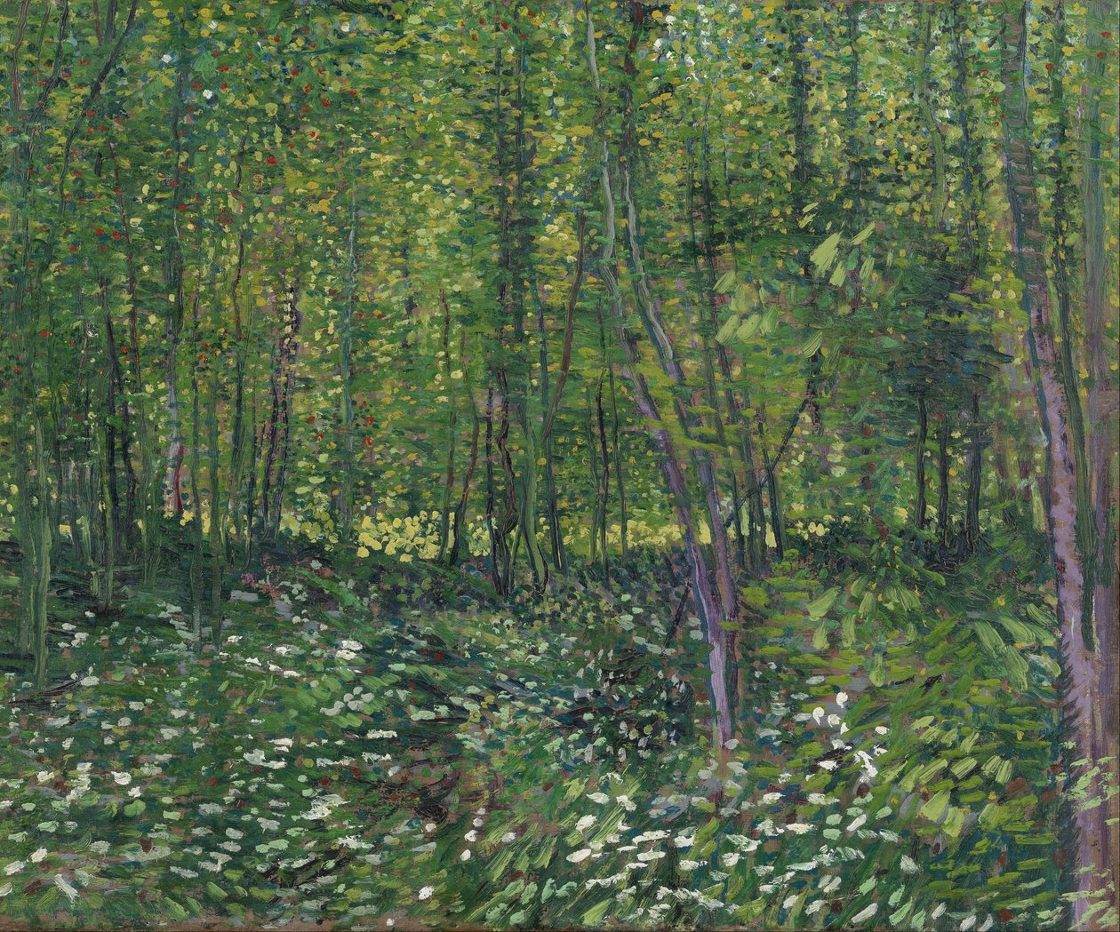 Trær og underskog av Vincent van Gogh