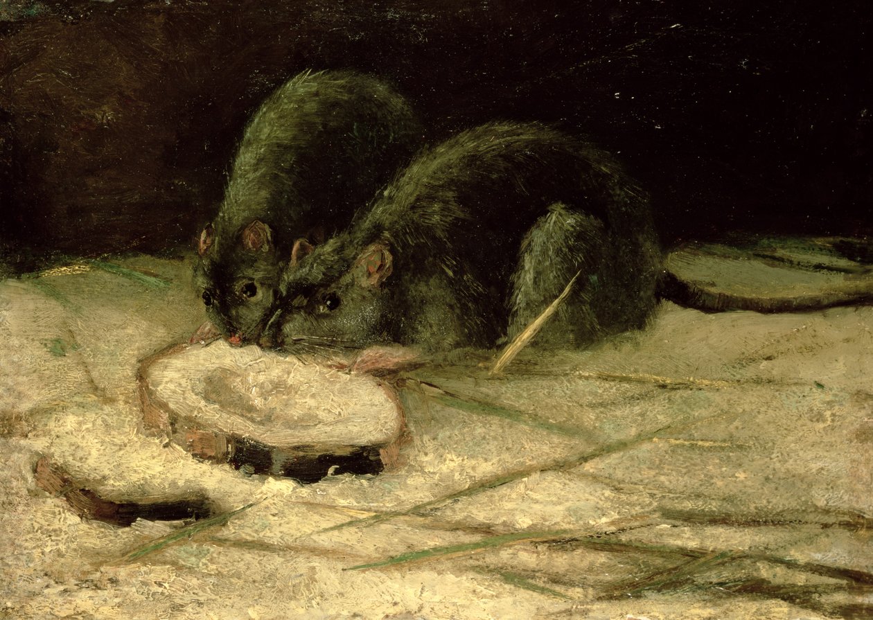 To rotter, ca. 1884 av Vincent van Gogh
