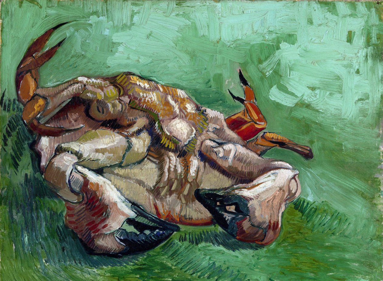 "En krabbe som ligger på ryggen" Maleri av Vincent van Gogh (1853-1890) 1889 Dim 38x46,5 cm Van Gogh-museet, Amsterdam av Vincent van Gogh