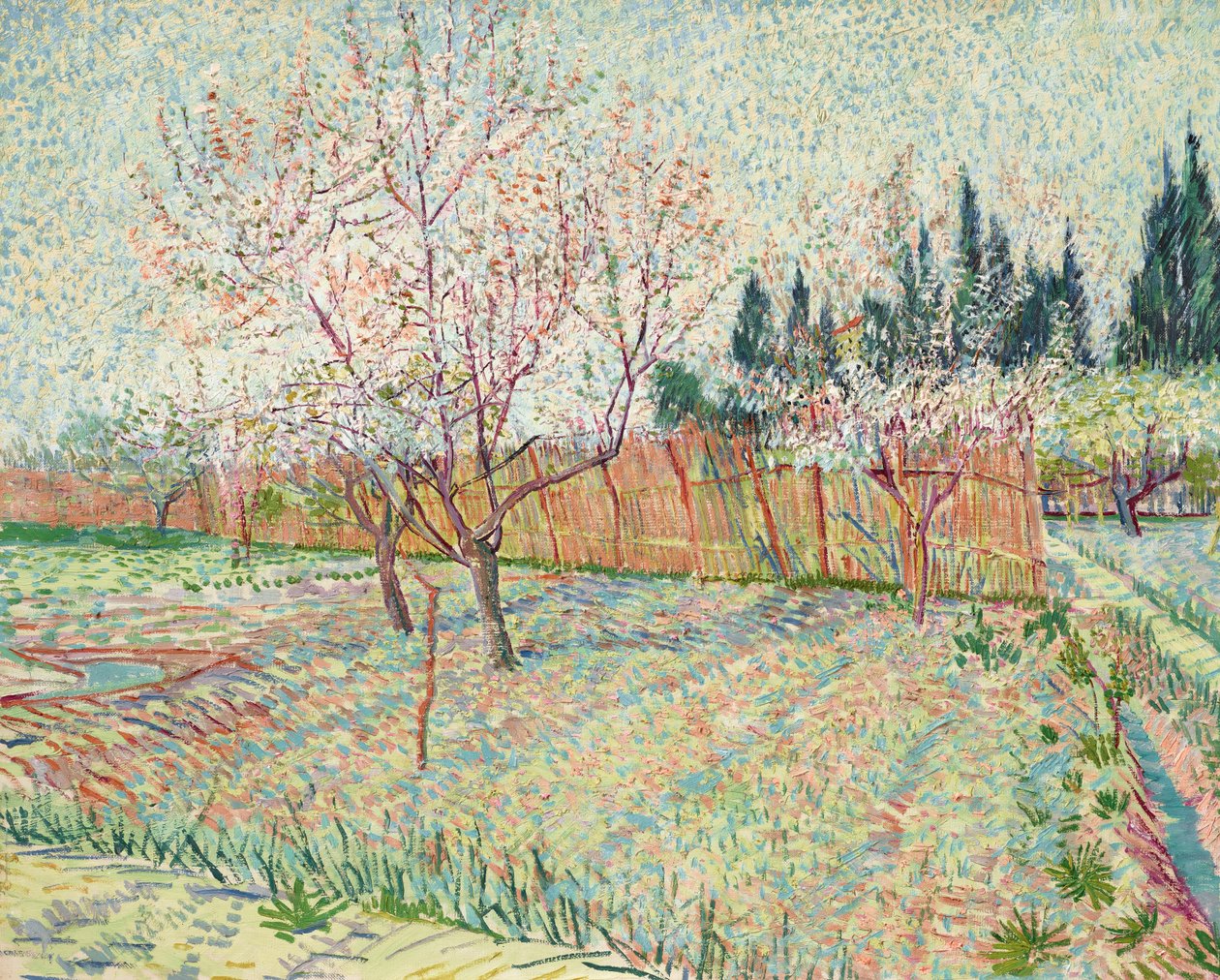 Frukthage med sypresser av Vincent van Gogh