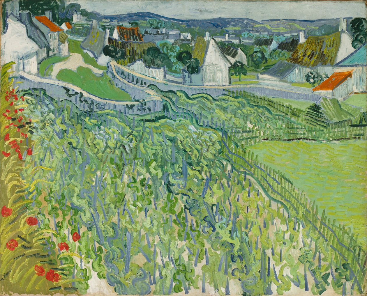Vingårder i Auvers av Vincent van Gogh